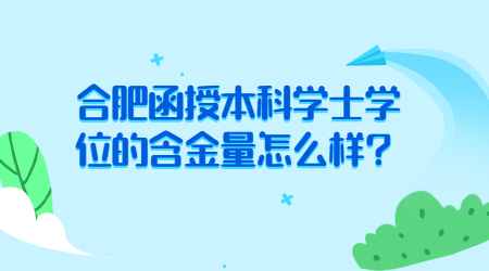 合肥函授本科学士学位
