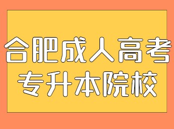 合肥成人高考专升本院校