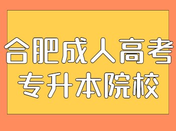 合肥成人高考专升本院校