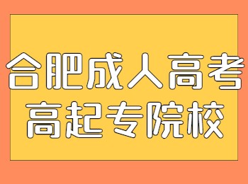 合肥成人高考高起专院校