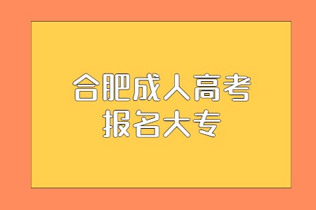 合肥成人高考报名大专
