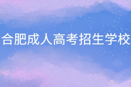 合肥成人高考招生学校