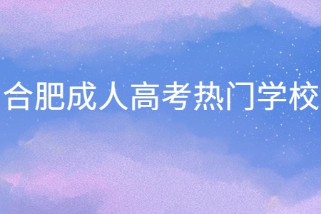 合肥成人高考热门学校