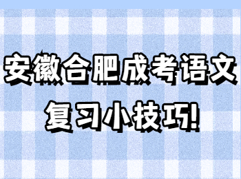 安徽合肥成考语文复习小技巧
