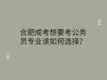 合肥成考想要考公务员专业该如何选择？