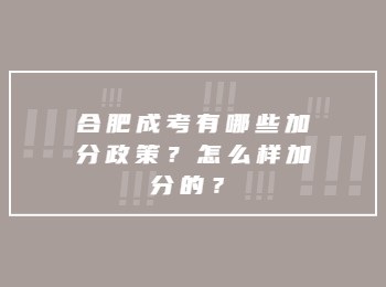 合肥成考有哪些加分政策？怎么样加分的？