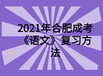 2021年合肥成考《语文》复习方法