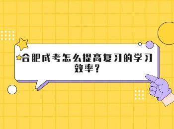 合肥成考怎么提高复习的学习效率