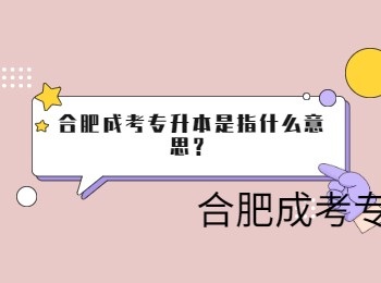 合肥成考专升本是指什么意思