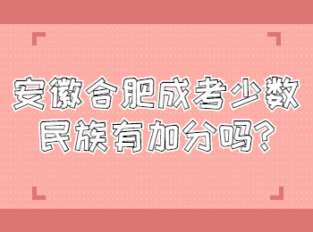 安徽合肥成考少数民族有加分吗