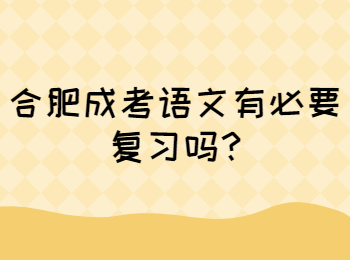 合肥成考语文有必要复习吗