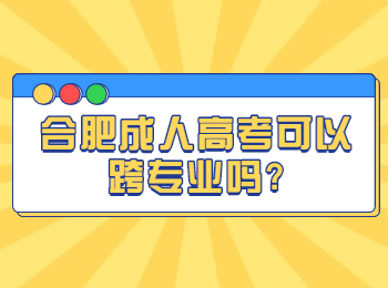 合肥成人高考可以跨专业吗