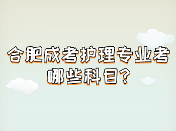 合肥成考护理专业考哪些科目