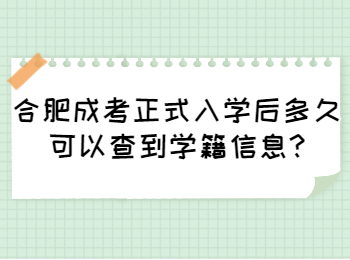 合肥成考正式入学后多久可以查到学籍信息