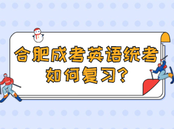 合肥成考英语统考如何复习