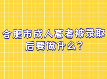 合肥市成人高考被录取后要做什么