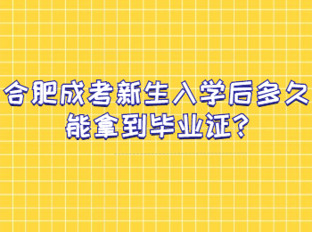 合肥成考新生入学后多久能拿到毕业证