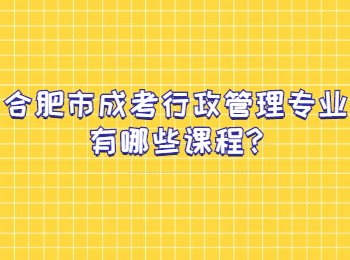 合肥市成考行政管理专业有哪些课程