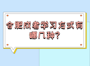 合肥成考学习方式有哪几种