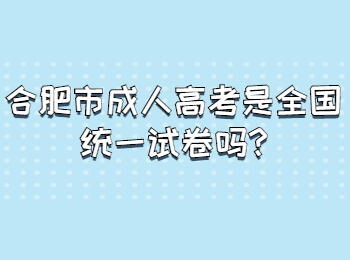 合肥市成人高考是全国统一试卷吗