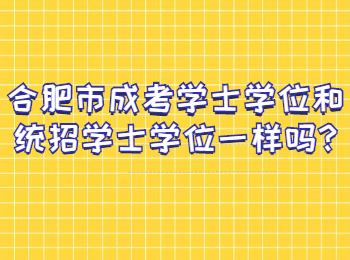 合肥市成考学士学位和统招学士学位一样吗