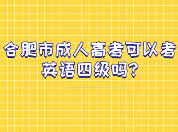 合肥市成人高考可以考英语四级吗