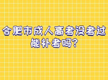 合肥市成人高考没考过能补考吗