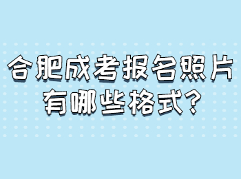 合肥成考报名照片有哪些格式