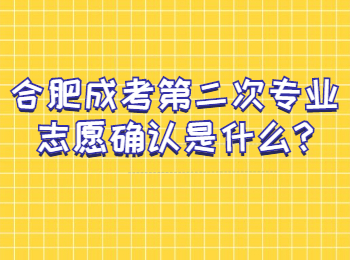 合肥成考第二次专业志愿确认是什么