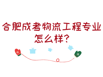 合肥成考物流工程专业怎么样