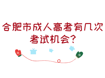 合肥市成人高考有几次考试机会