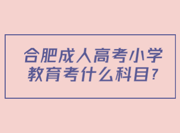 合肥成人高考小学教育考什么科目?