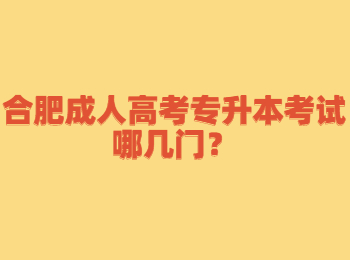 合肥成人高考专升本考试哪几门？