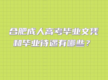 合肥成人高考毕业文凭和毕业待遇有哪些？