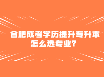 合肥成考学历提升专升本怎么选专业？