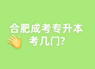 2022合肥成考专升本考几门?