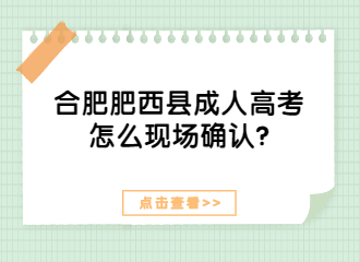 合肥肥西县成人高考怎么现场确认?