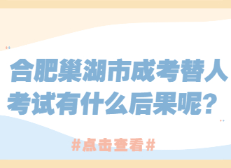 合肥巢湖市成考替人考试有什么后果呢？