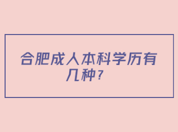 合肥成人本科学历有几种？