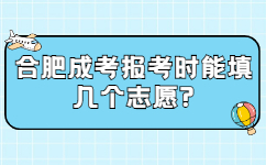 合肥成考报考时能填几个志愿