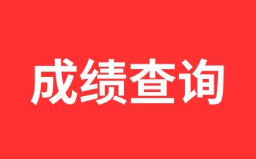 2024年安徽工业大学成人高考成绩怎么查